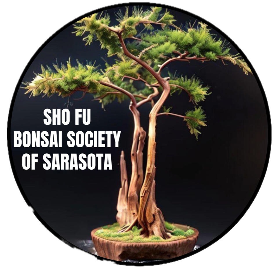 petercohbonsai.com
